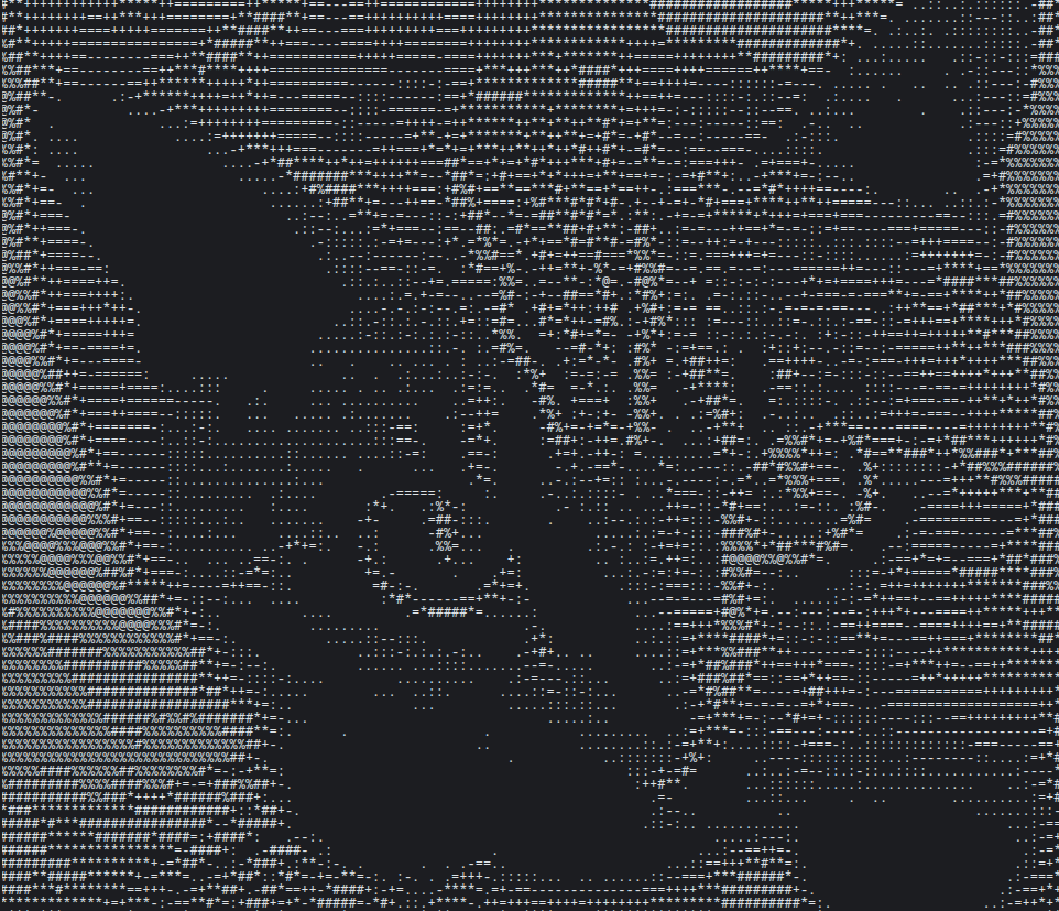 catscii.png